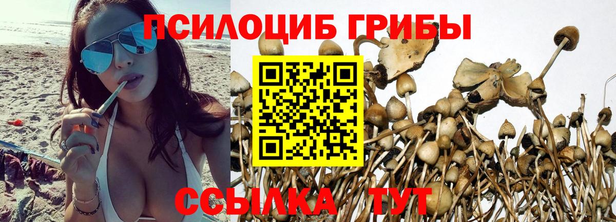 Псилоцибиновые грибы мицелий Донской