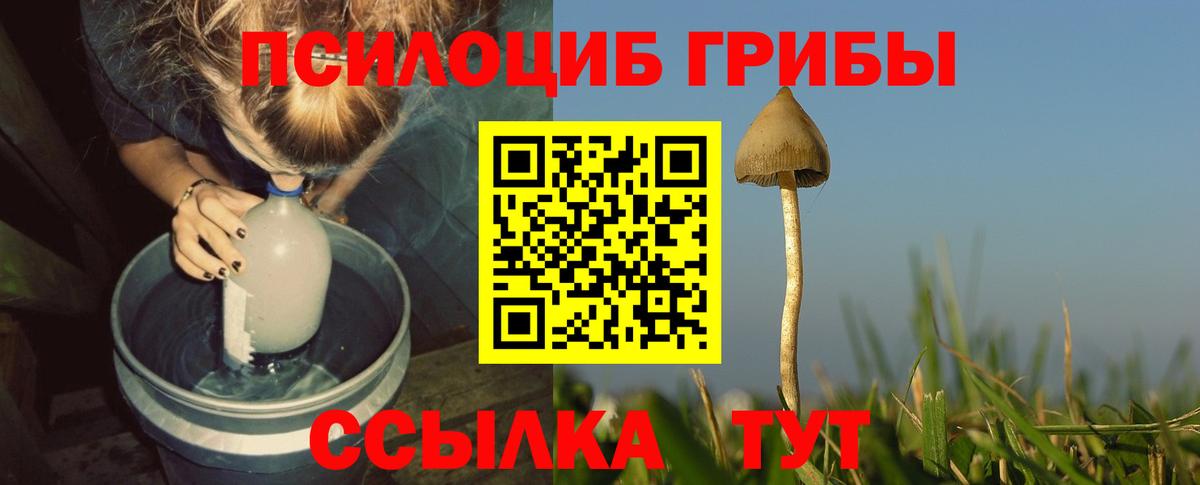 Донской  Галлюциногенные грибы Cubensis  Галлюциногенные грибы GOLDEN TEACHER  Вход с VPN 